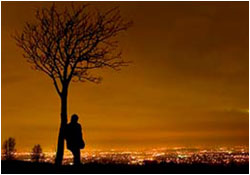 news page story Fly Colt Fly