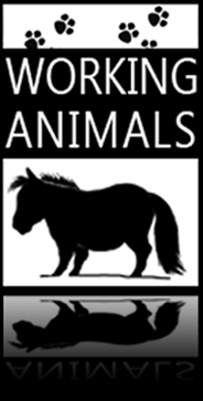 Working Animals